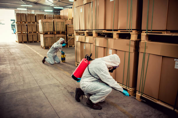 Best Bed Bug Extermination  in Gordo, AL