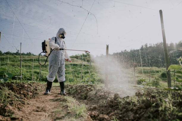 Best Best Pest Control Companies  in Gordo, AL