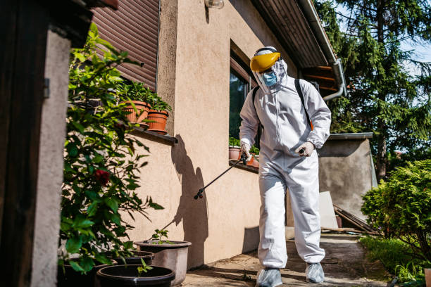Best Affordable Pest Control Services  in Gordo, AL
