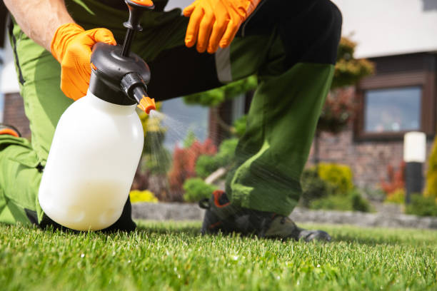 Best Commercial Pest Control Services  in Gordo, AL