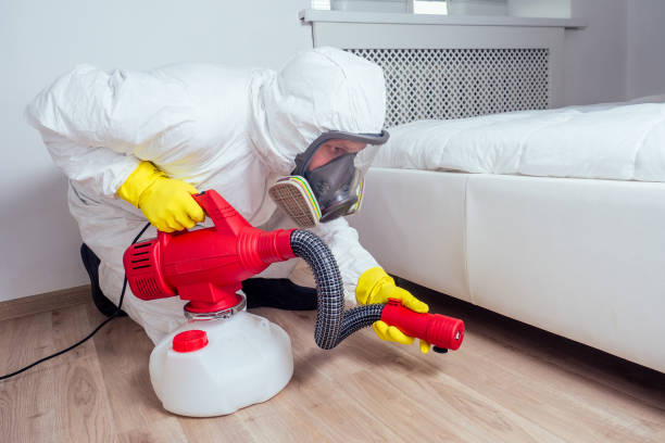 Best Residential Pest Control  in Gordo, AL