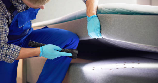 Flea Control Services in Gordo, AL