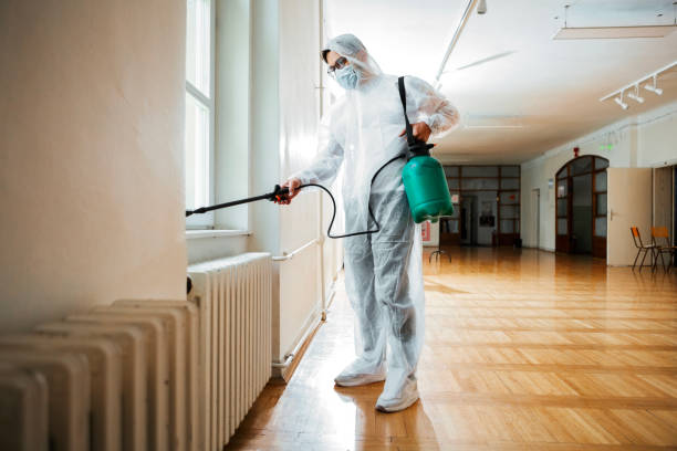 Best Termite Control Services  in Gordo, AL