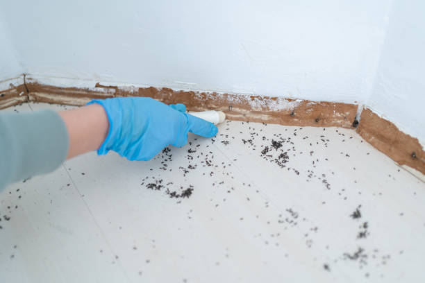 Wildlife Control Services in Gordo, AL