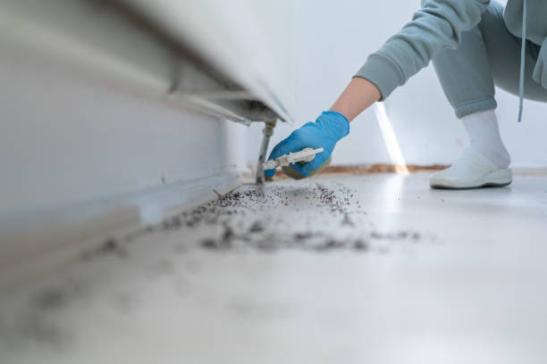 Best Best Pest Control Companies  in Gordo, AL