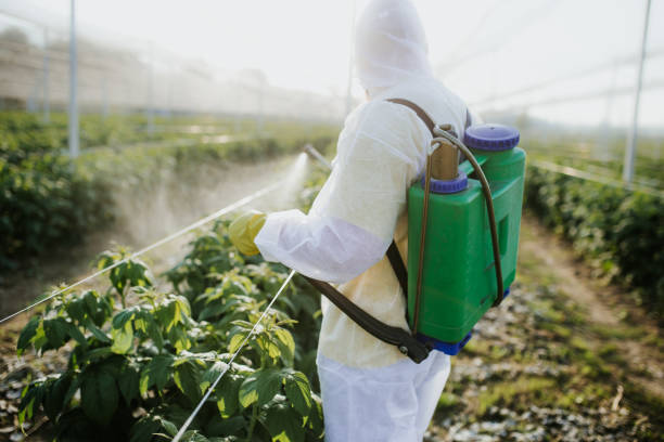 Best Exterminator Services  in Gordo, AL